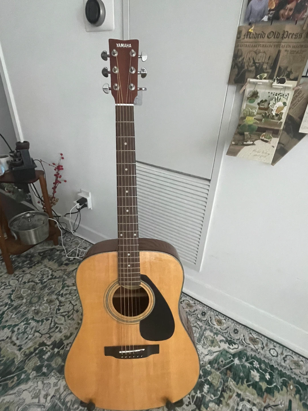 Guitar with cover, stand and accessories - photo 5