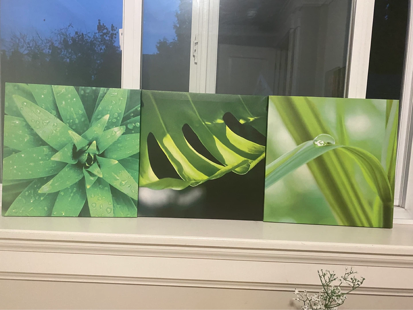 Set of 3 Canvas Wall Art Prints - Botanical Greenery