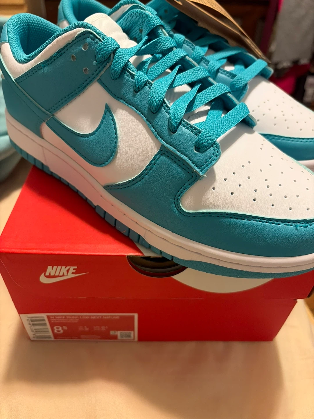 Nike Dunk Low Next Nature Women's Shoes