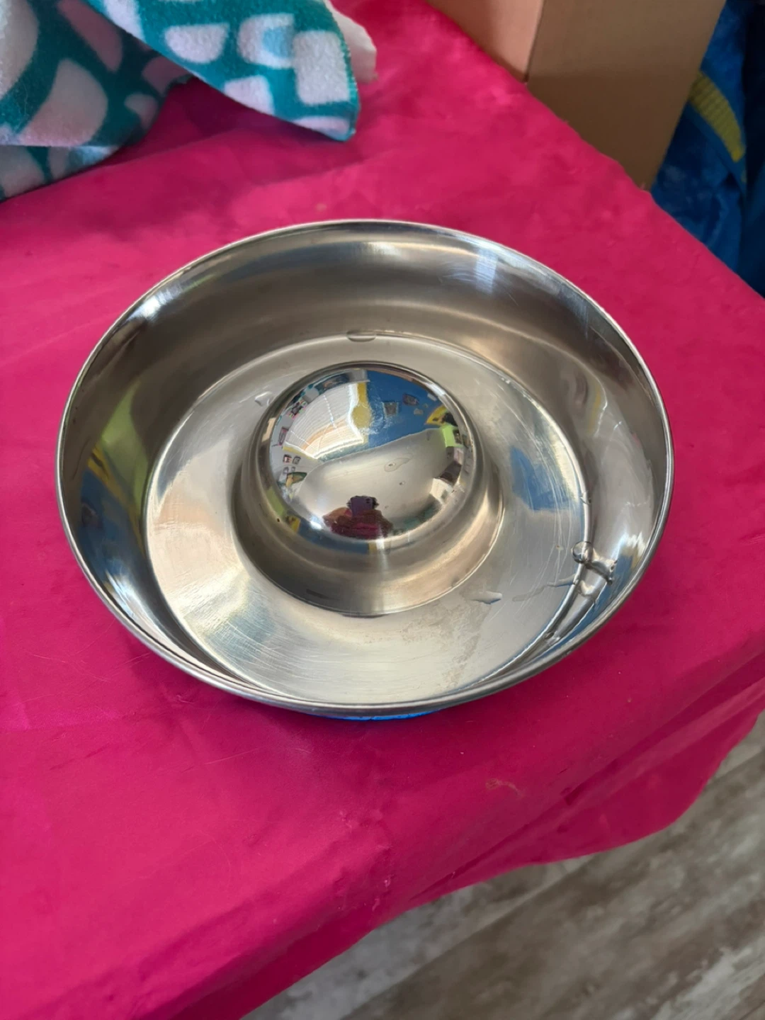 Slow Feeder Dog/Cat Bowl
