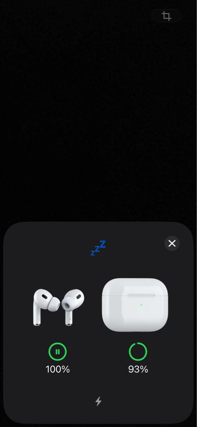 Apple AirPods Pro (2nd Generation) with Charging Case *REPS* - photo 5