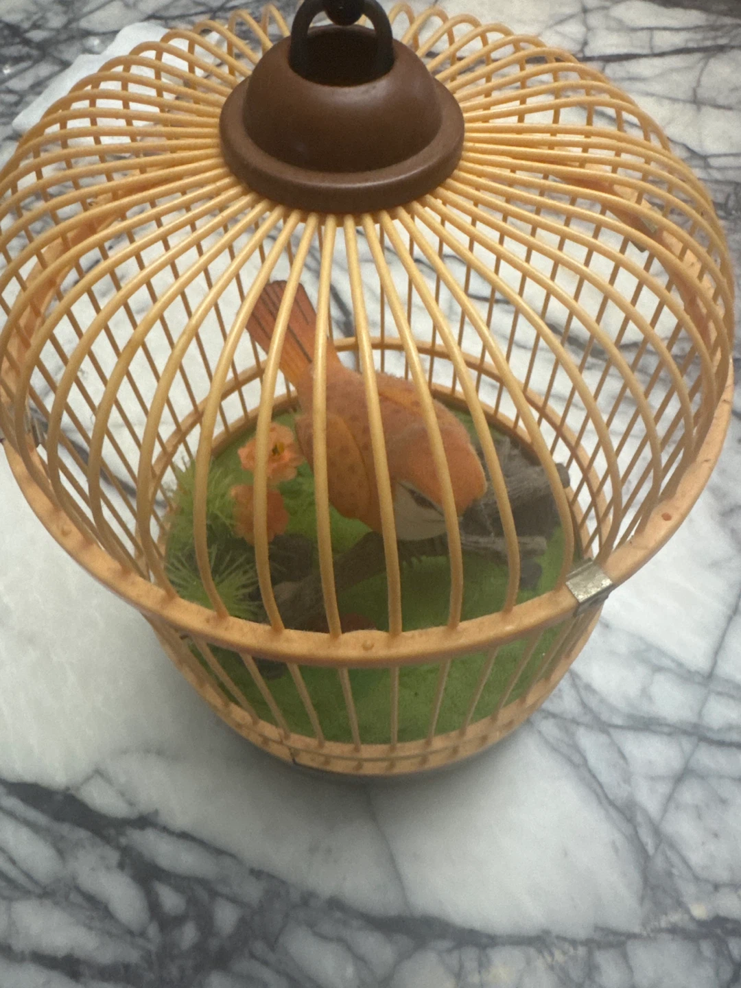 Singing Bird in Cage Toy