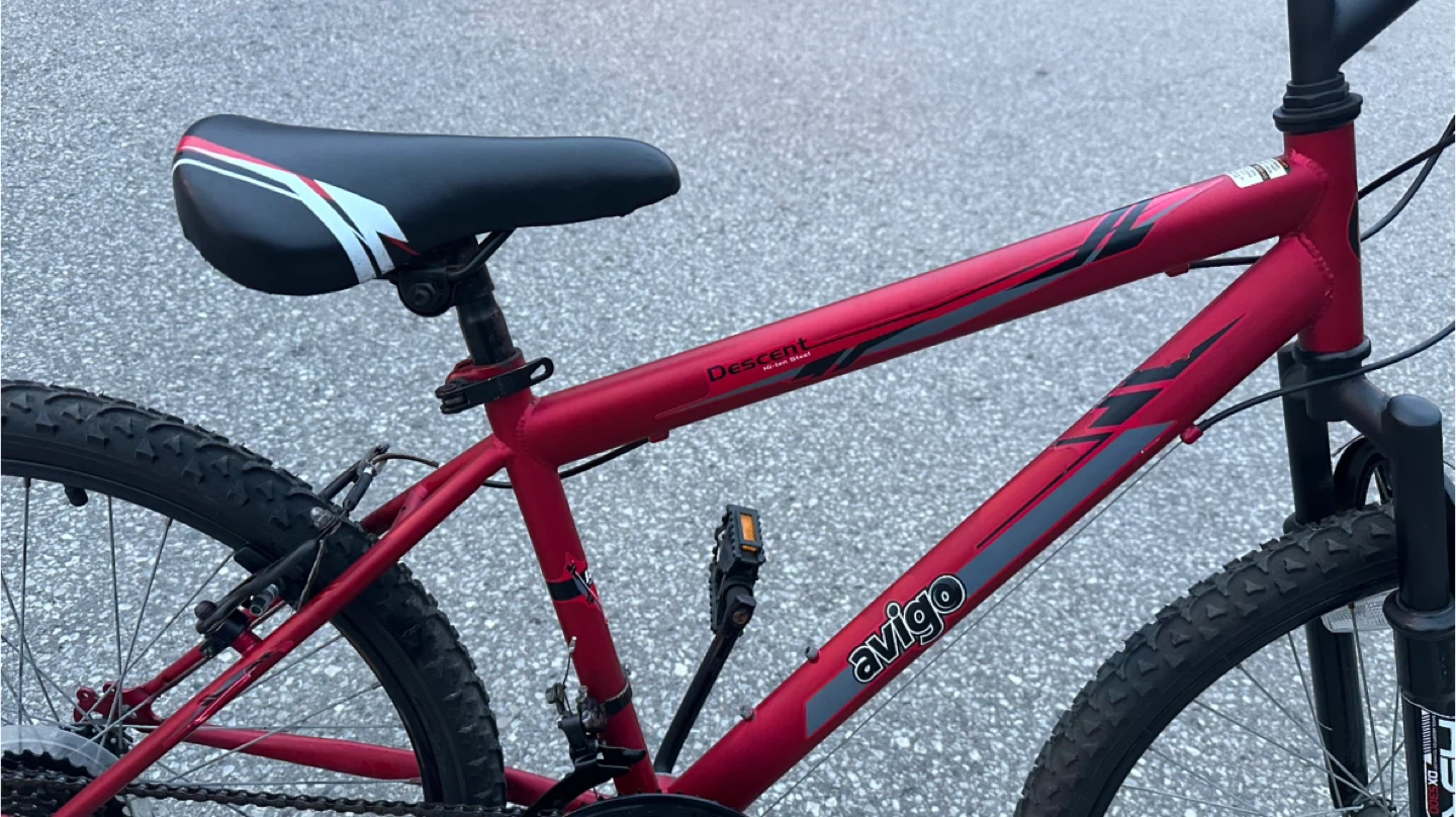 24” Avigo Descent Mountain Bike - photo 3