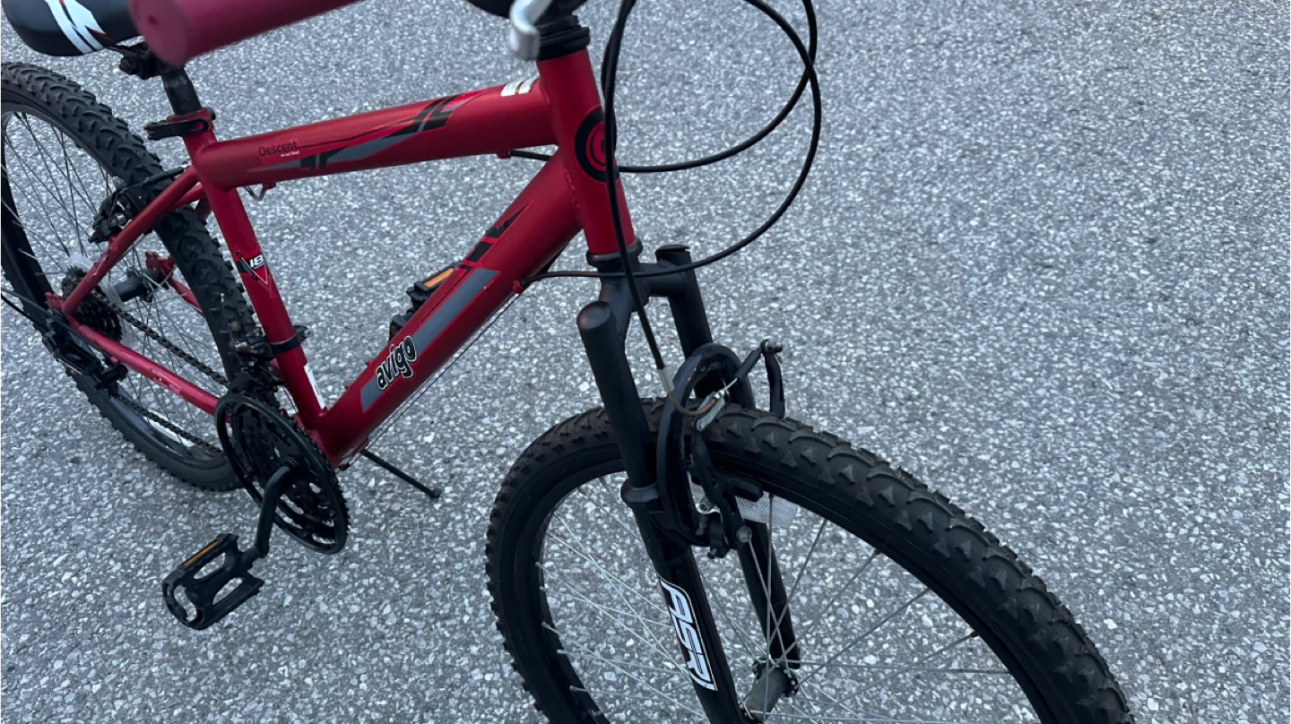 24” Avigo Descent Mountain Bike - photo 4
