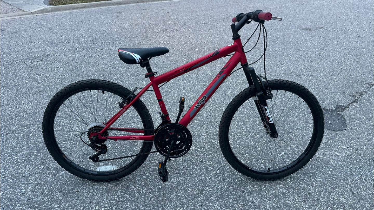 24” Avigo Descent Mountain Bike