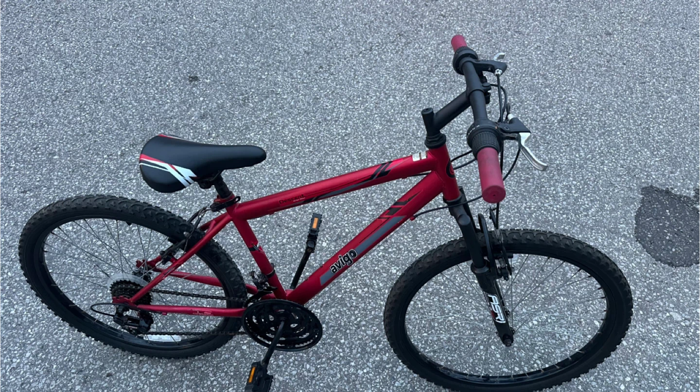 24” Avigo Descent Mountain Bike - photo 5