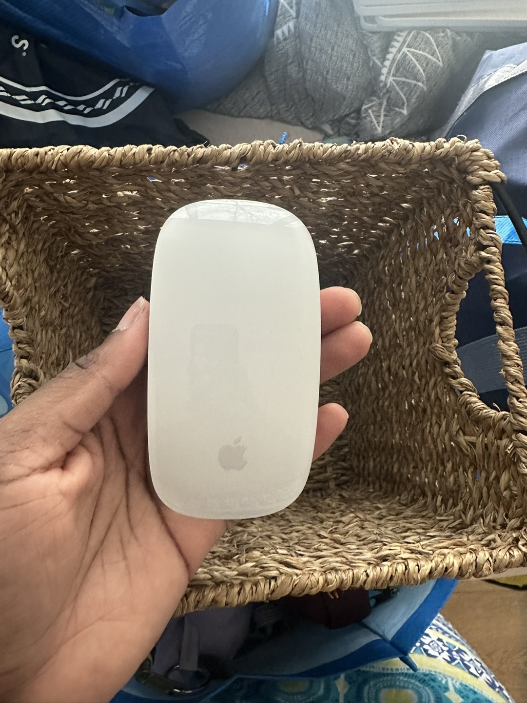 Apple Magic Mouse (Cable NOT included)