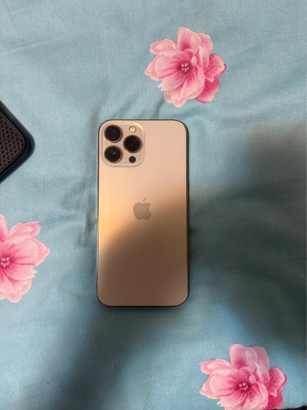 iPhone 13 Pro Max - photo 2