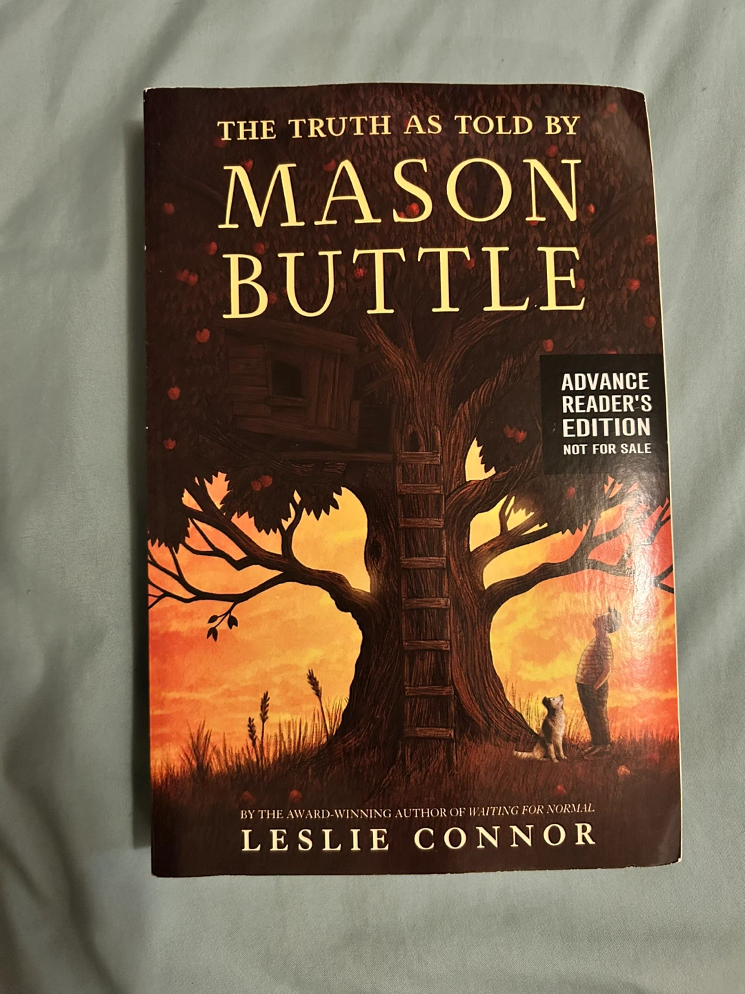 The Truth As Told By Mason Buttle by Leslie Connor
