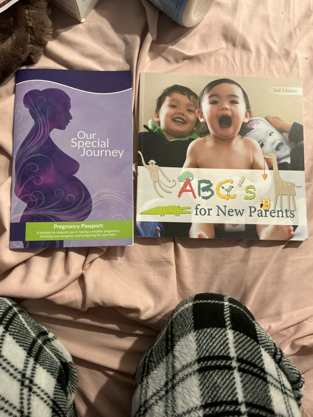 Pregnancy and parenting books