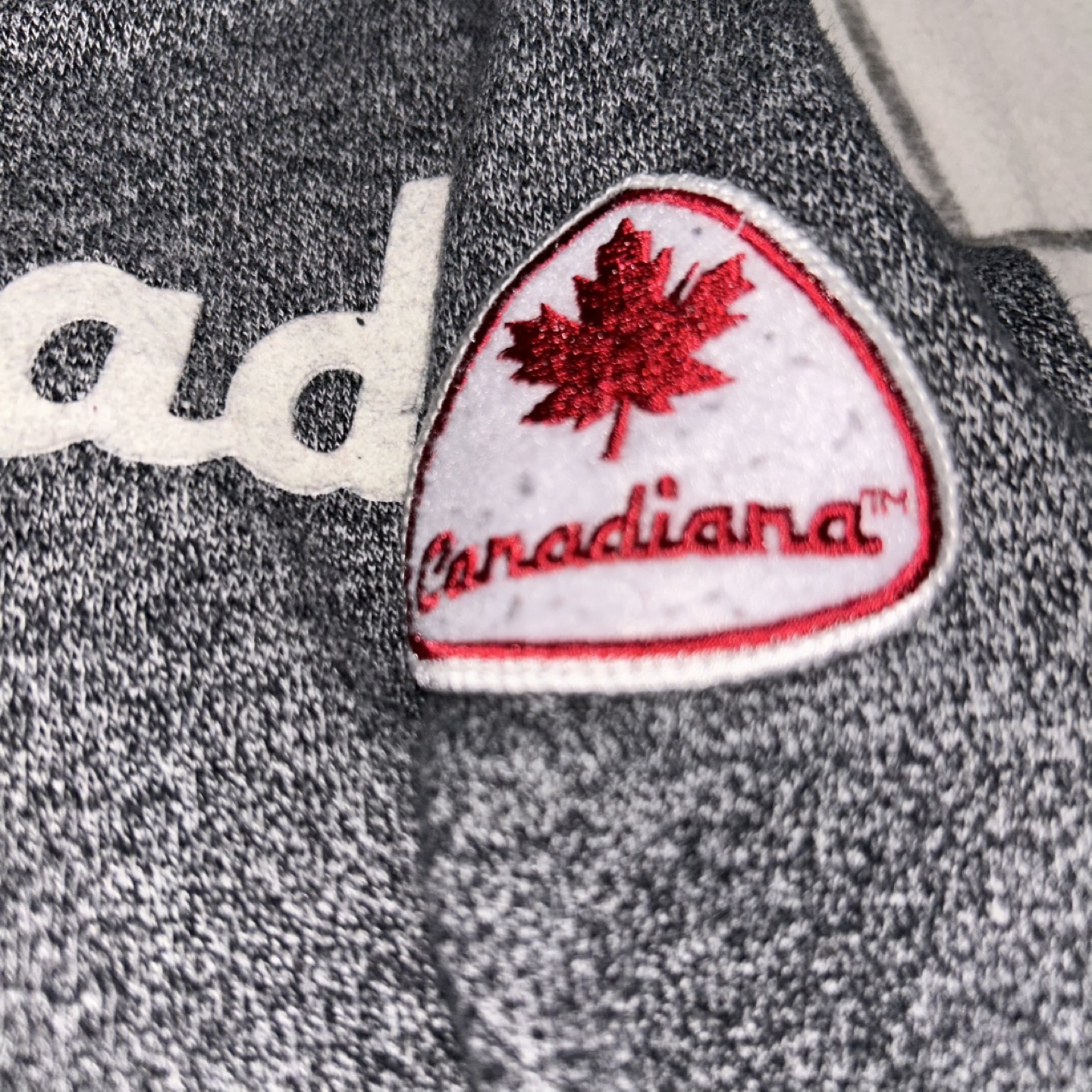 Canadiana Grey Full-Zip Hoodie 2T - photo 3
