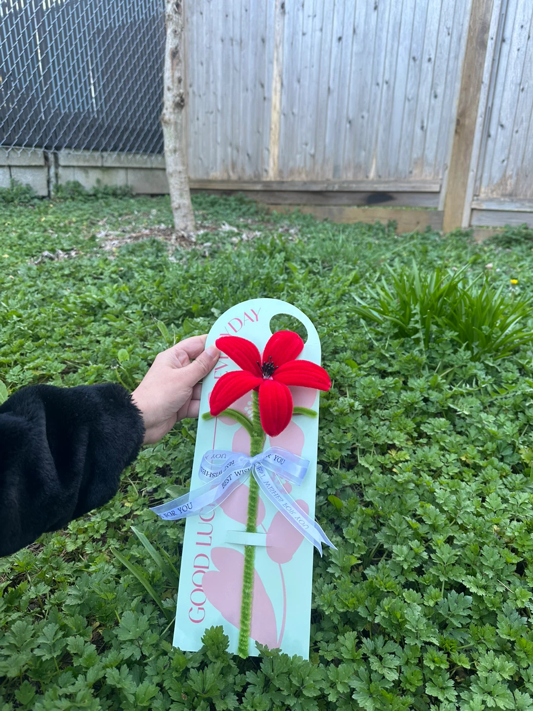 Mother’s day gift