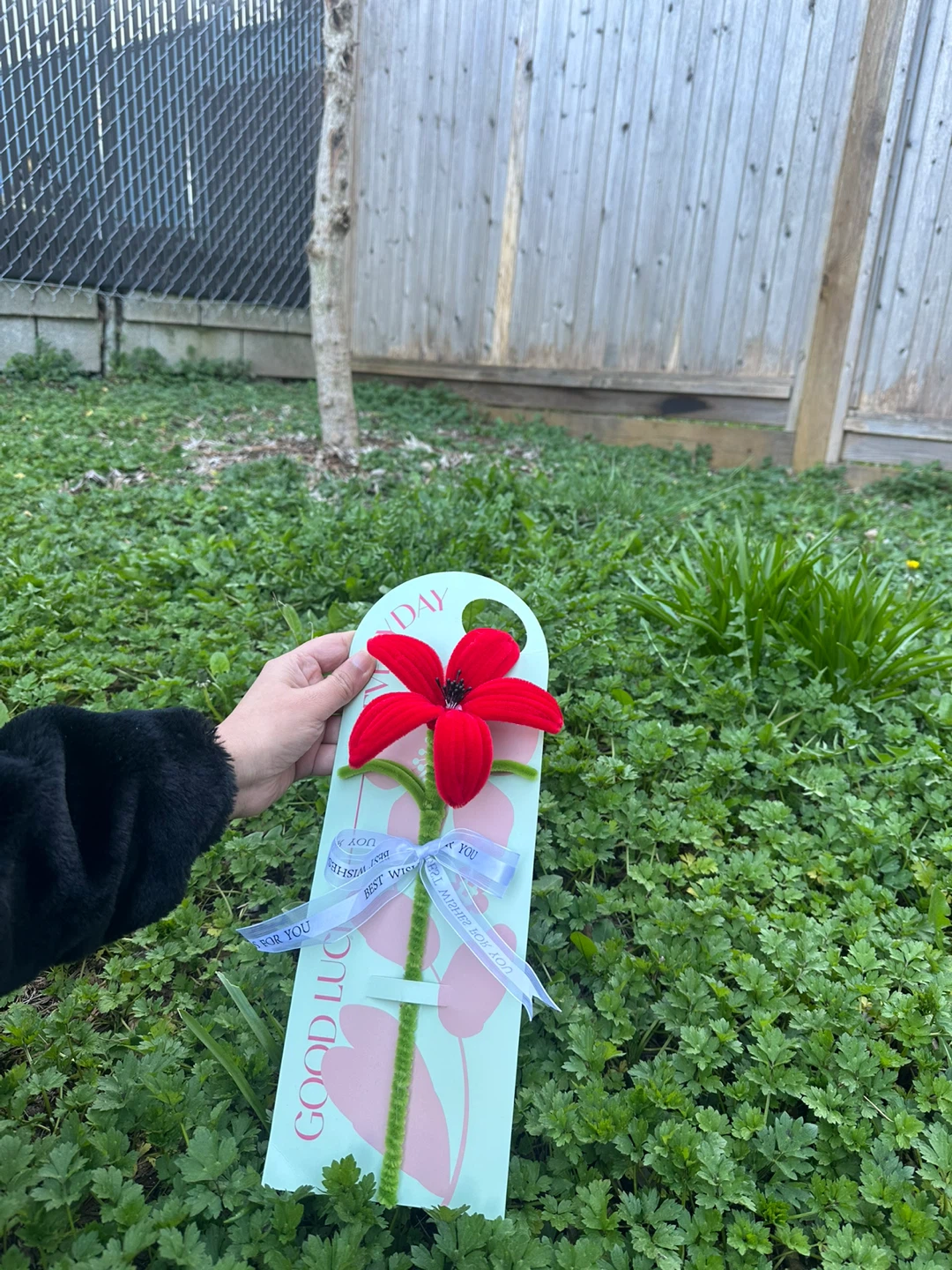 Mother’s day gift - photo 4