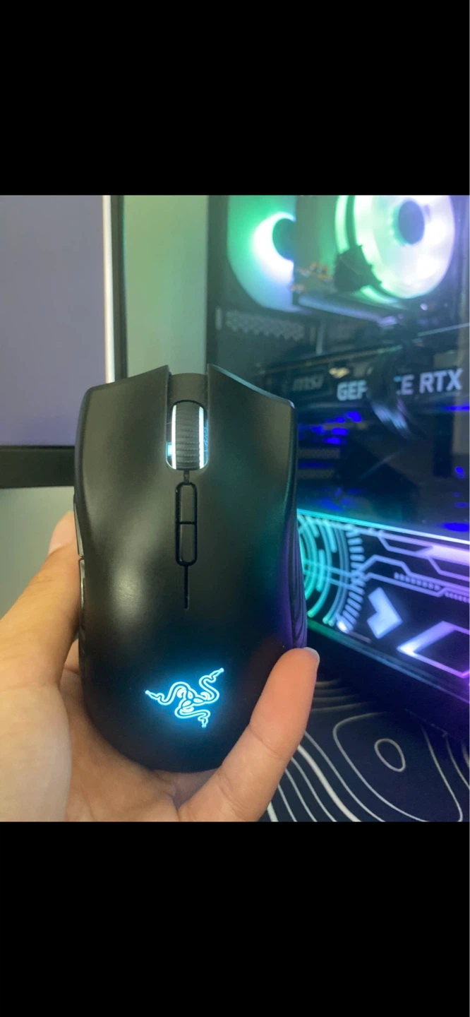 Mouse - photo 2