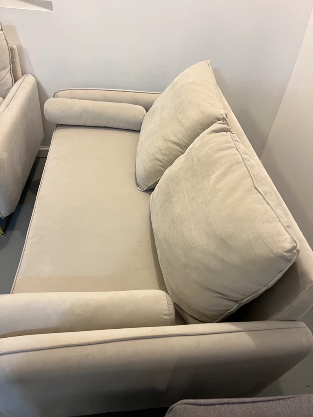 Light Beige Velvet Loveseat and Sofa - photo 4