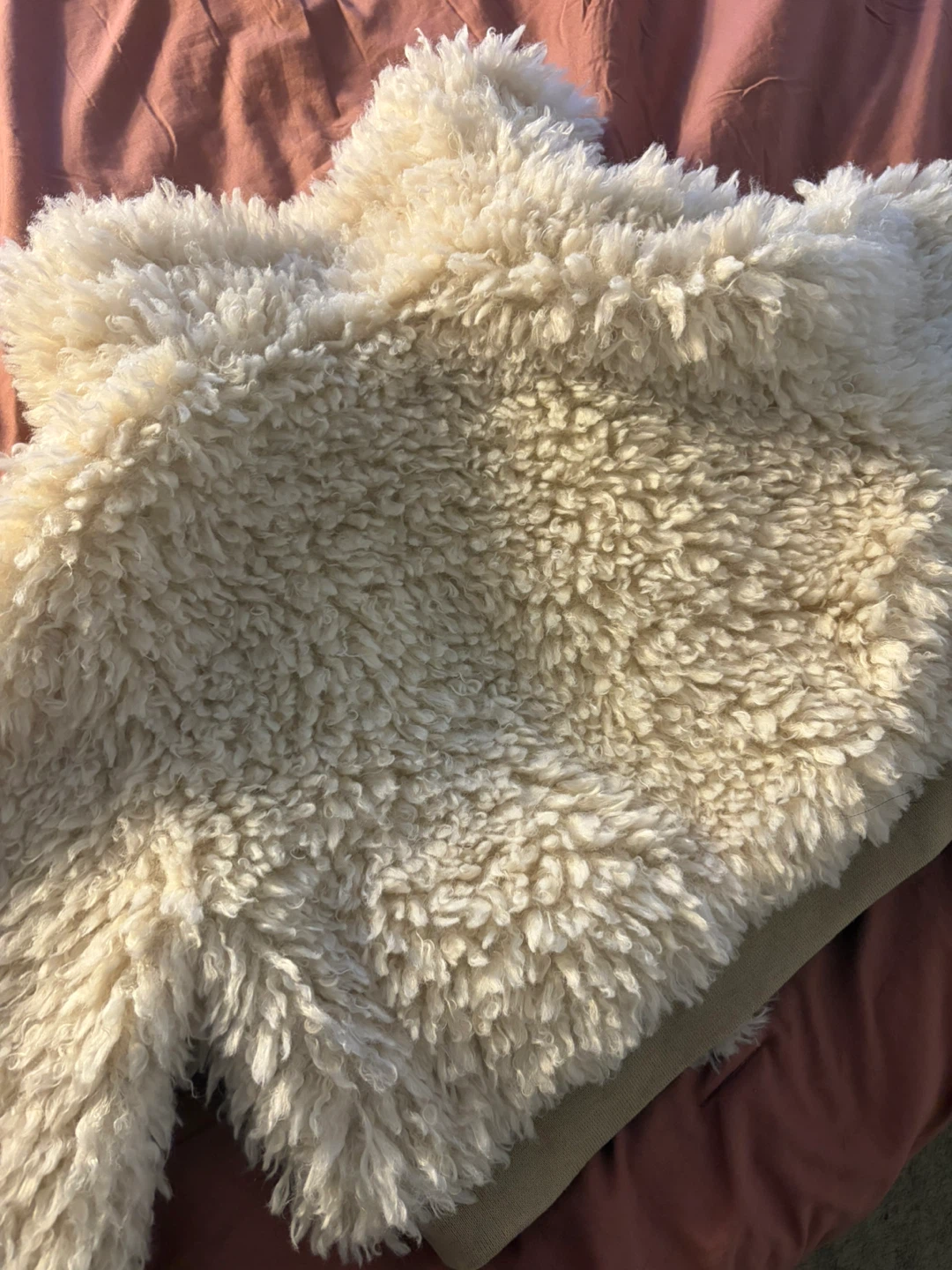 Cream Teddy Jacket - Size Medium - photo 3