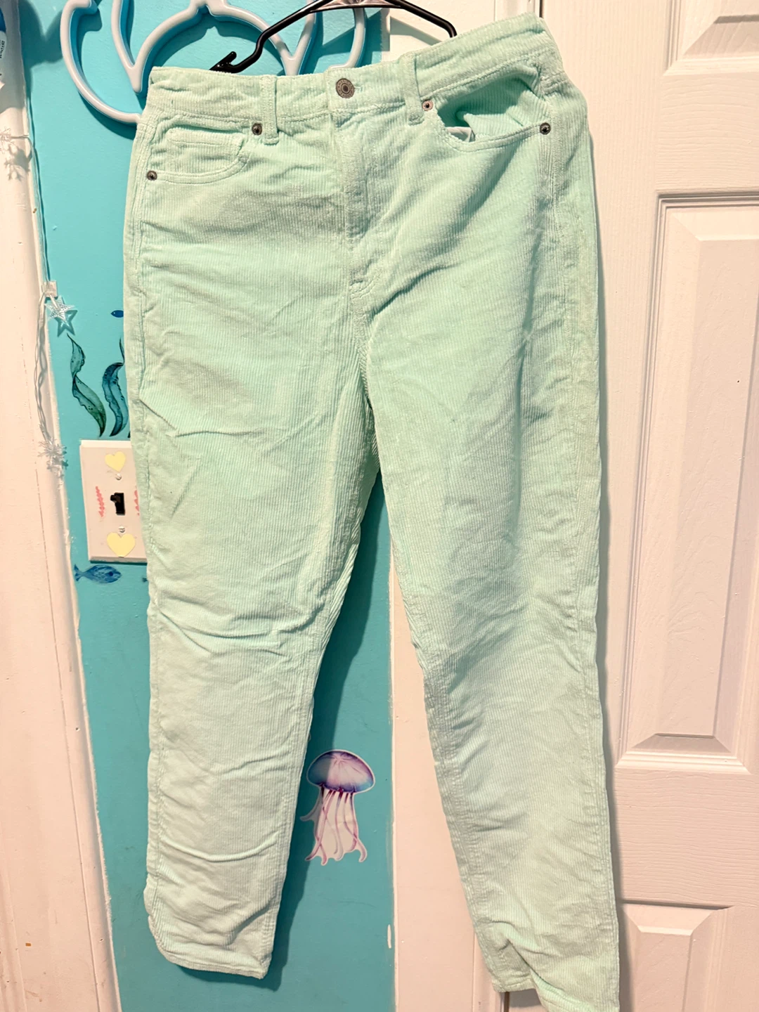 American Eagle Mom Jean Corduroy Pants Size 10 Long