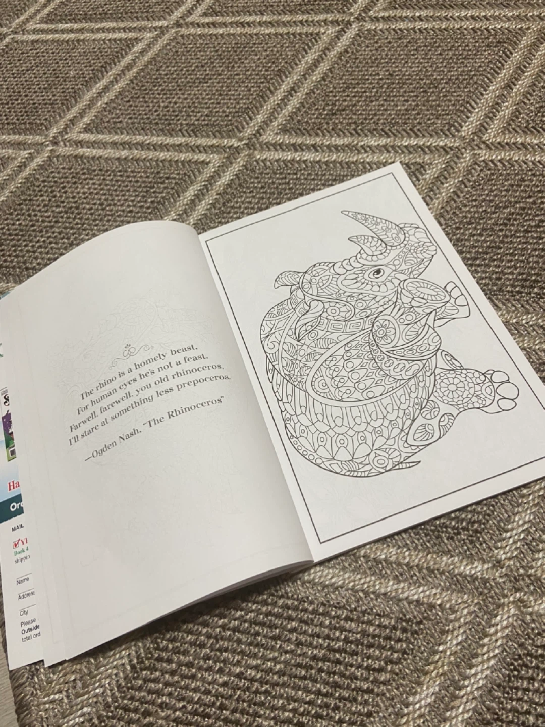 Colouring Book - photo 5