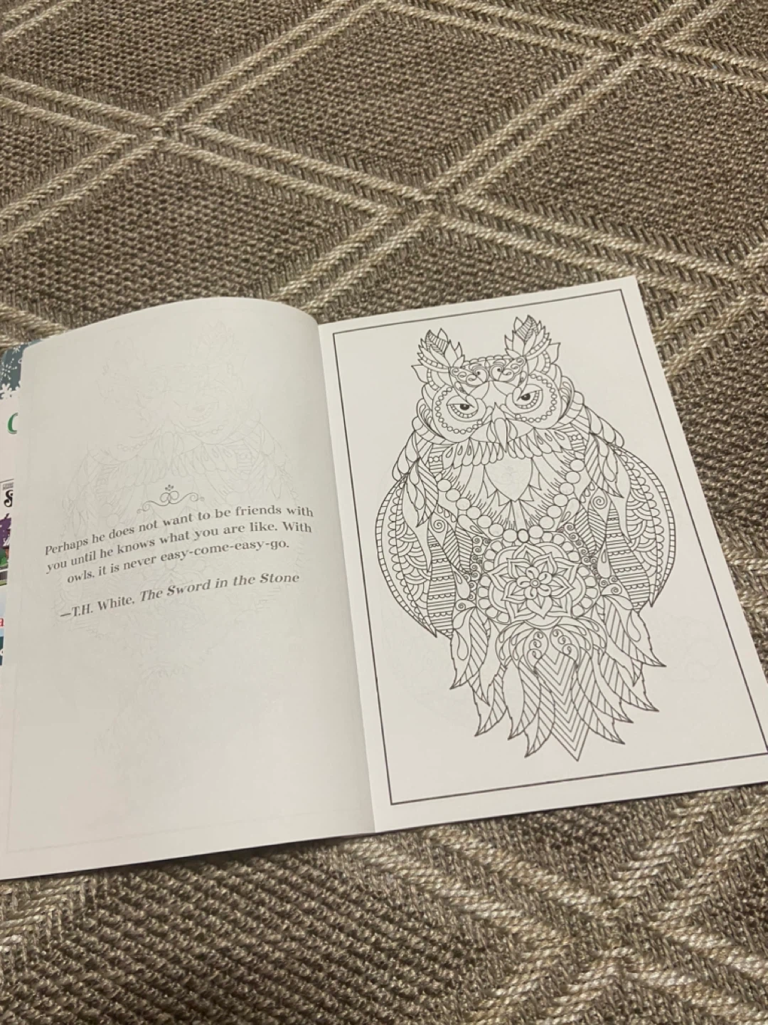Colouring Book - photo 4