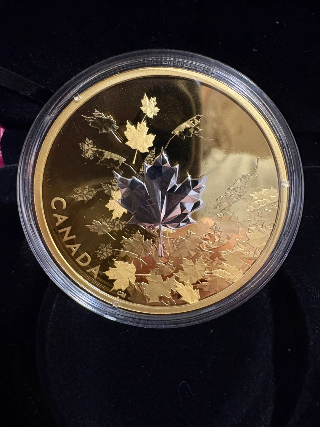 2017 Cdn Mint $50 Fine Silver Coin - Whispering Maple Leaves - photo 2