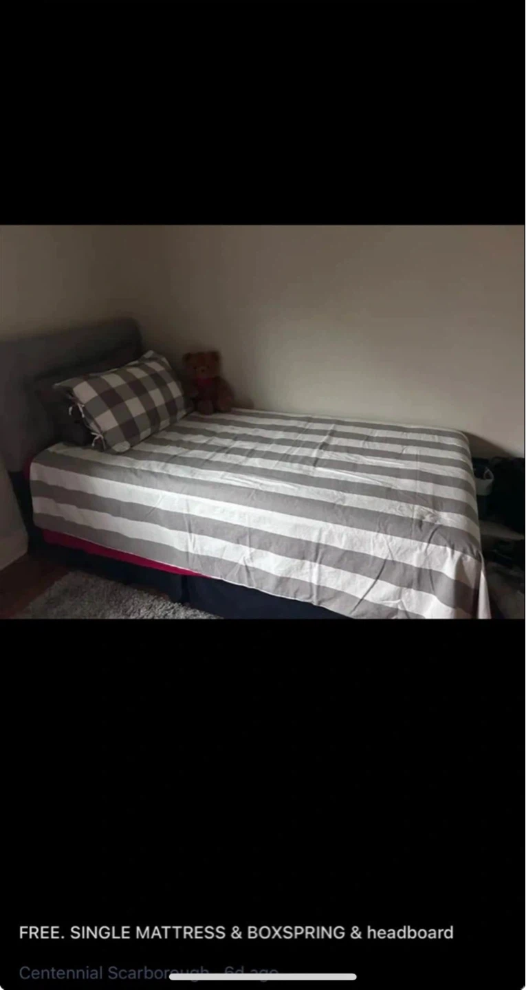 Single Mattress, Boxspring & Headboard