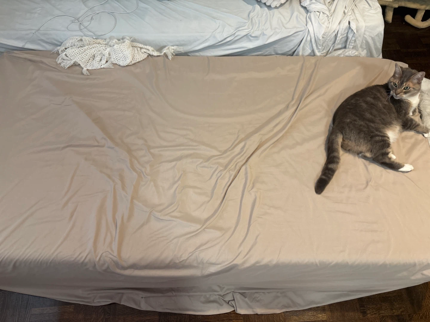 Twin Fitted Sheet