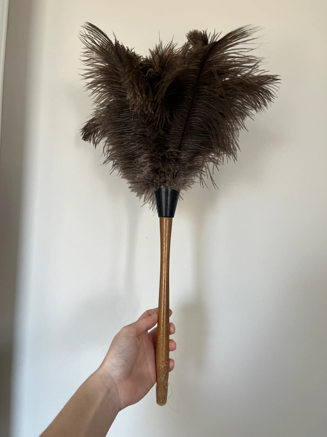 Feather duster