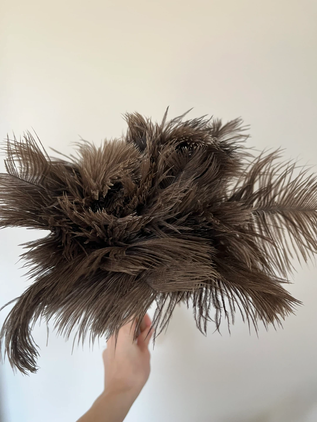 Feather duster - photo 2