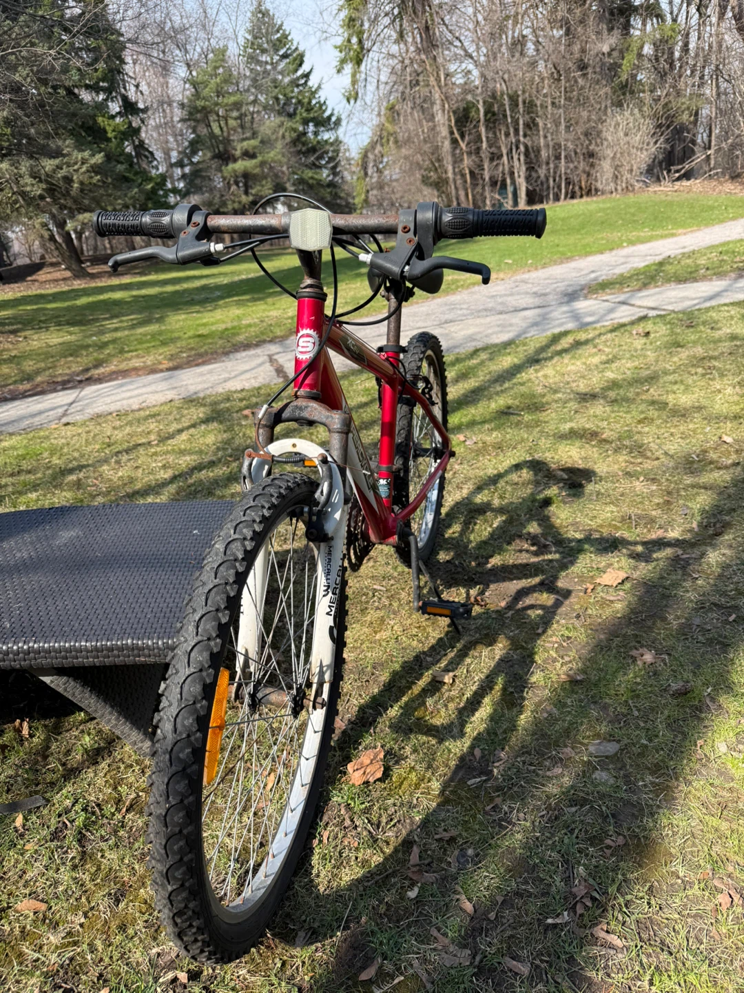 Red Supercycle Mountain Bike - photo 3