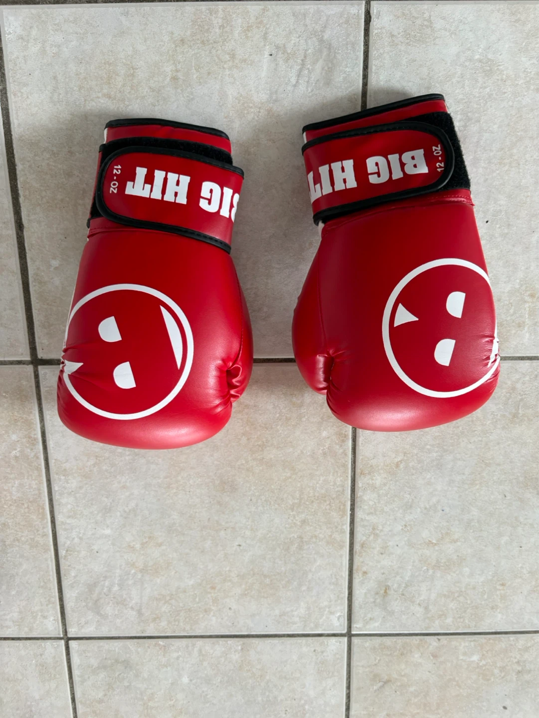 Big Hit Red Boxing Gloves 12 oz