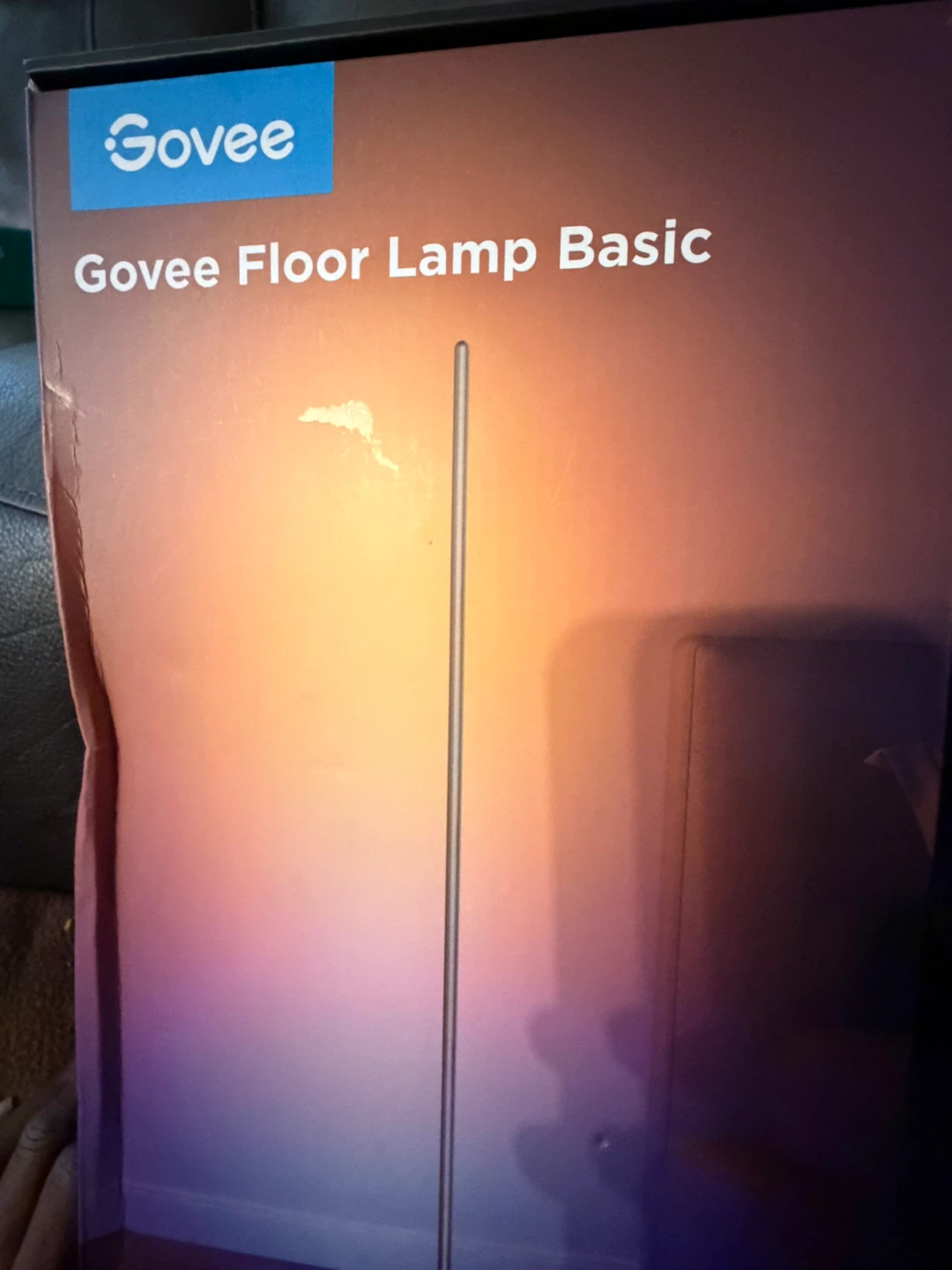 Govee Floor Lamp Basic