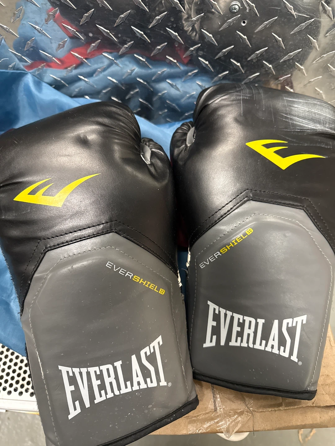 Everlast Boxing Gloves