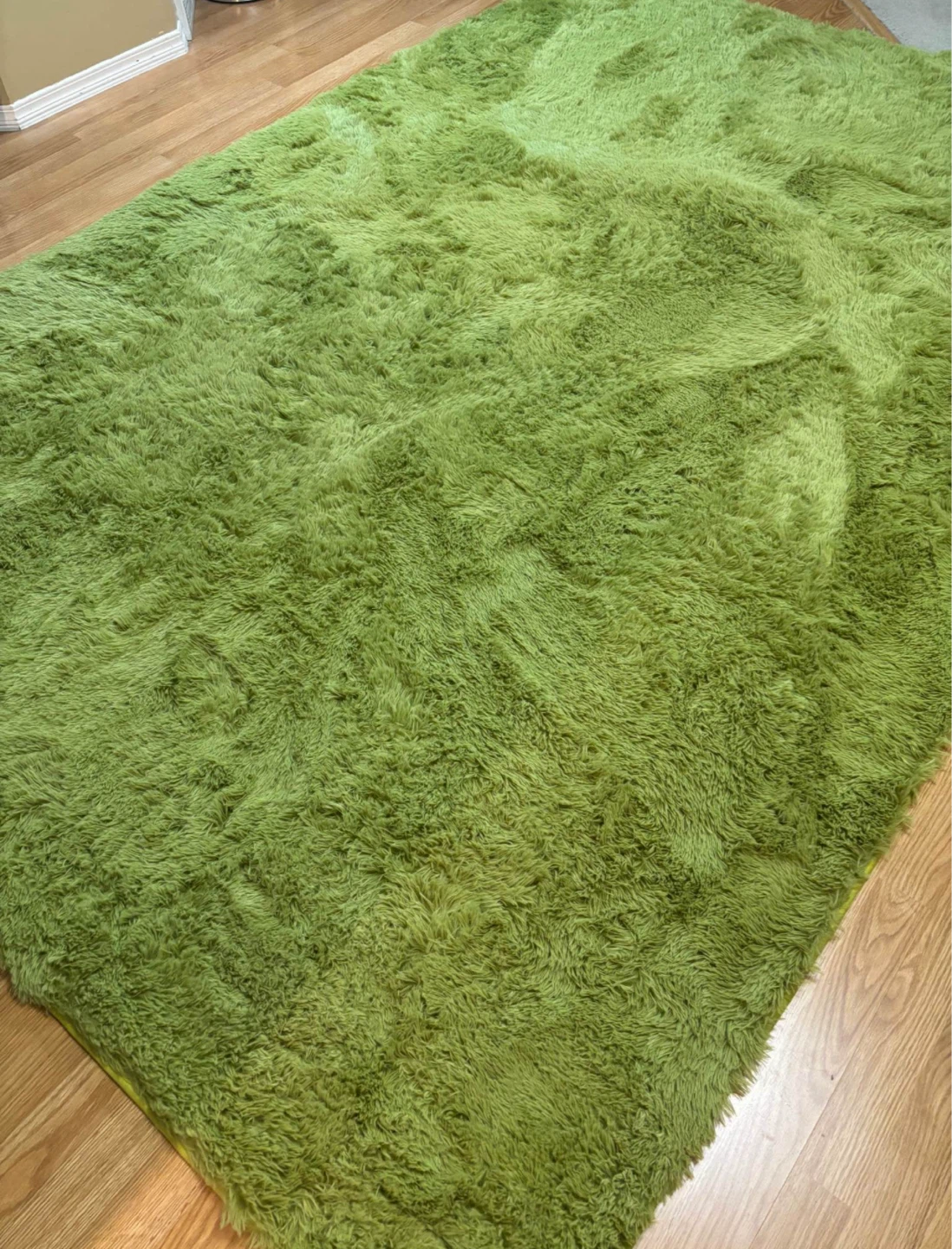 Green Shaggy Area Rug