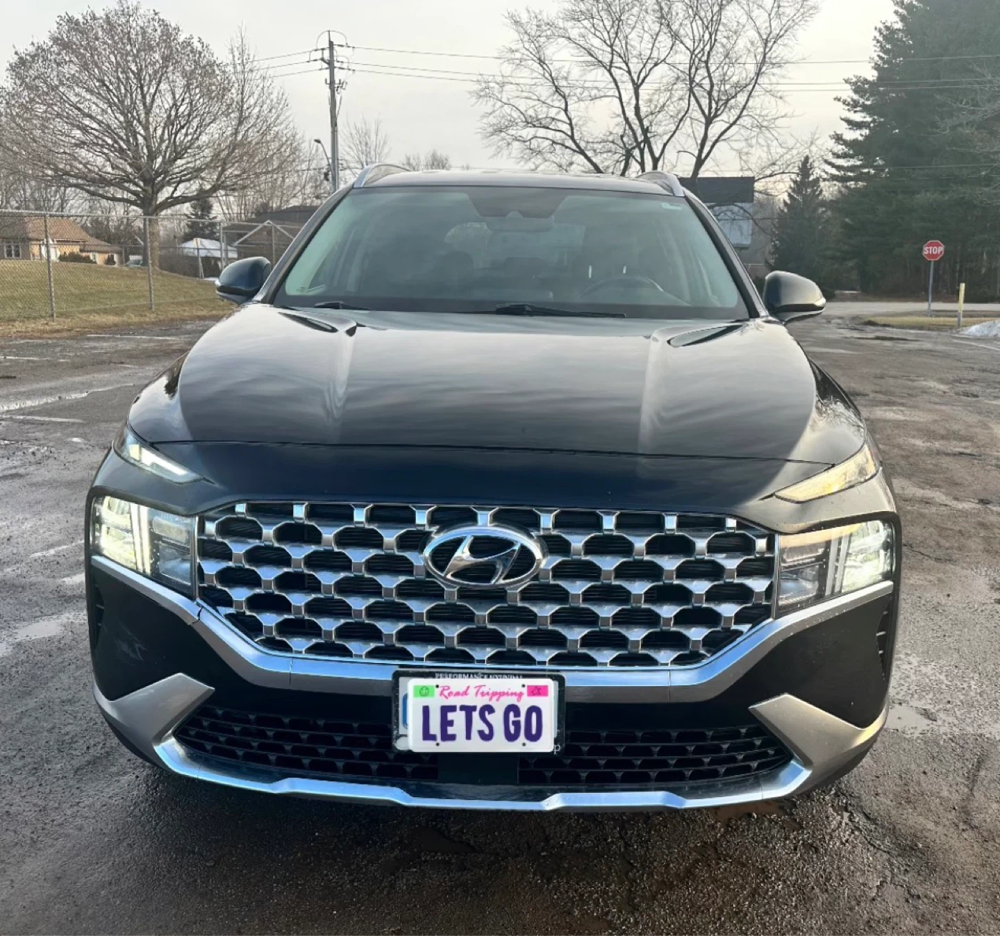 Hyundai Santa Fe 2021 - photo 3