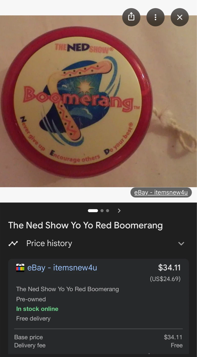 The Ned Show Boomerang Yo Yo - photo 3