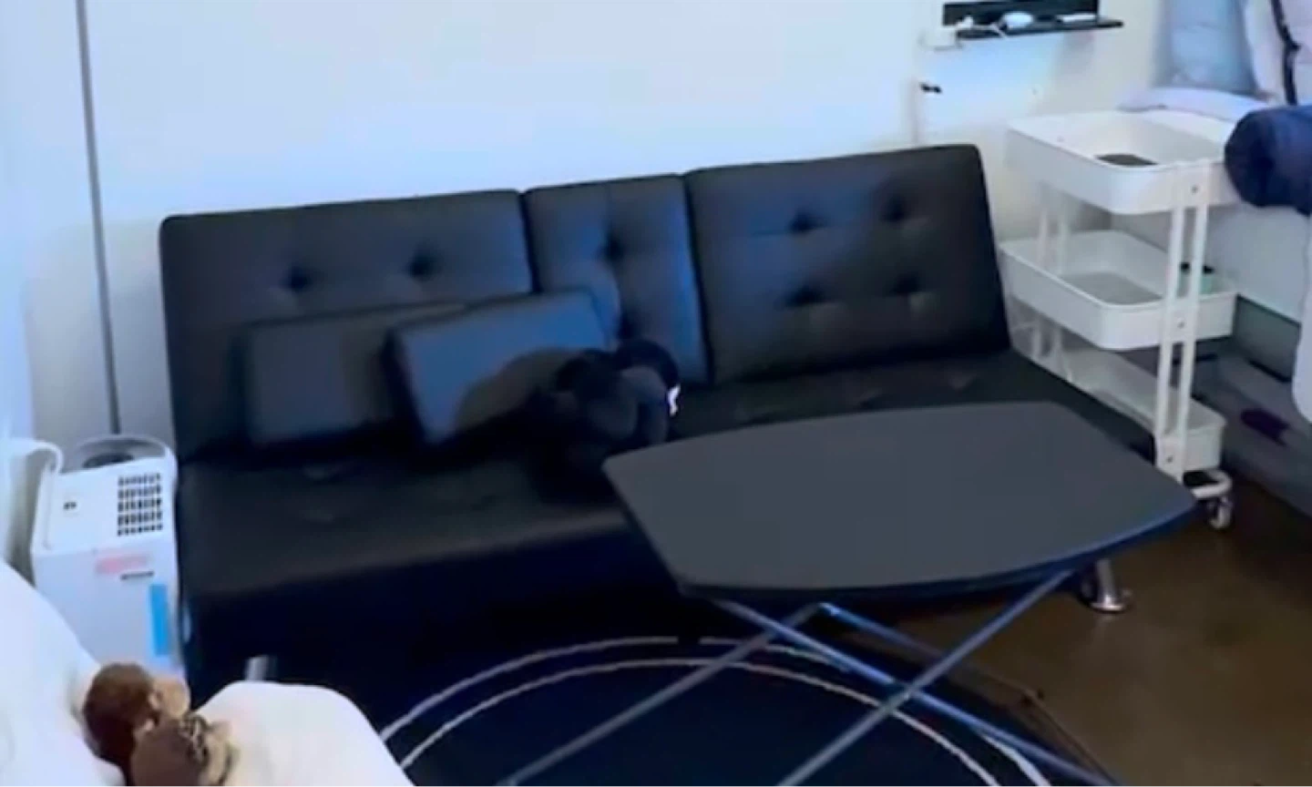 [Moving Sale] Flamaker Futon Sofa Bed (Black Leather) - photo 3
