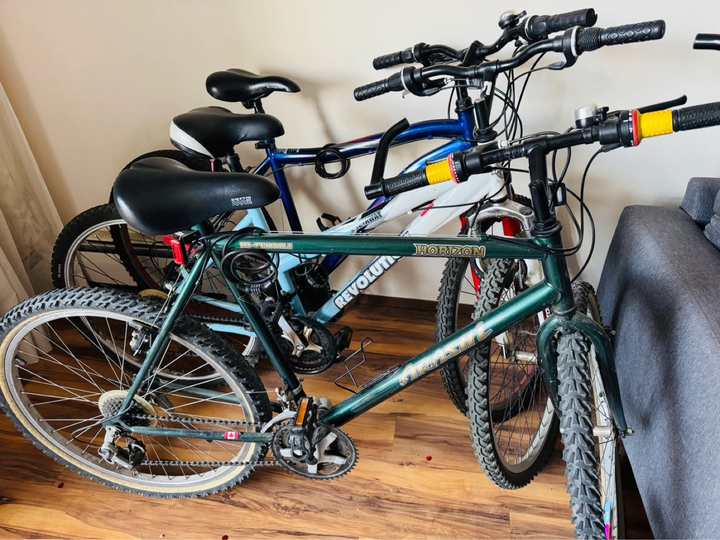 Schwinn Mountain Bike and 2 more bicycles