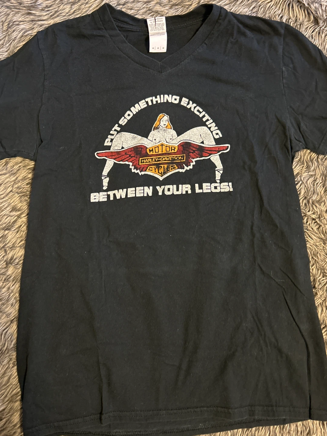 Harley-Davidson Novelty T-Shirt