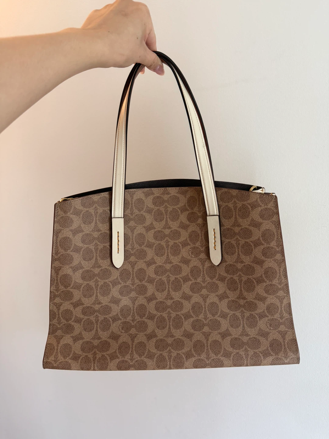 Coach Signature Canvas Tote Bag
