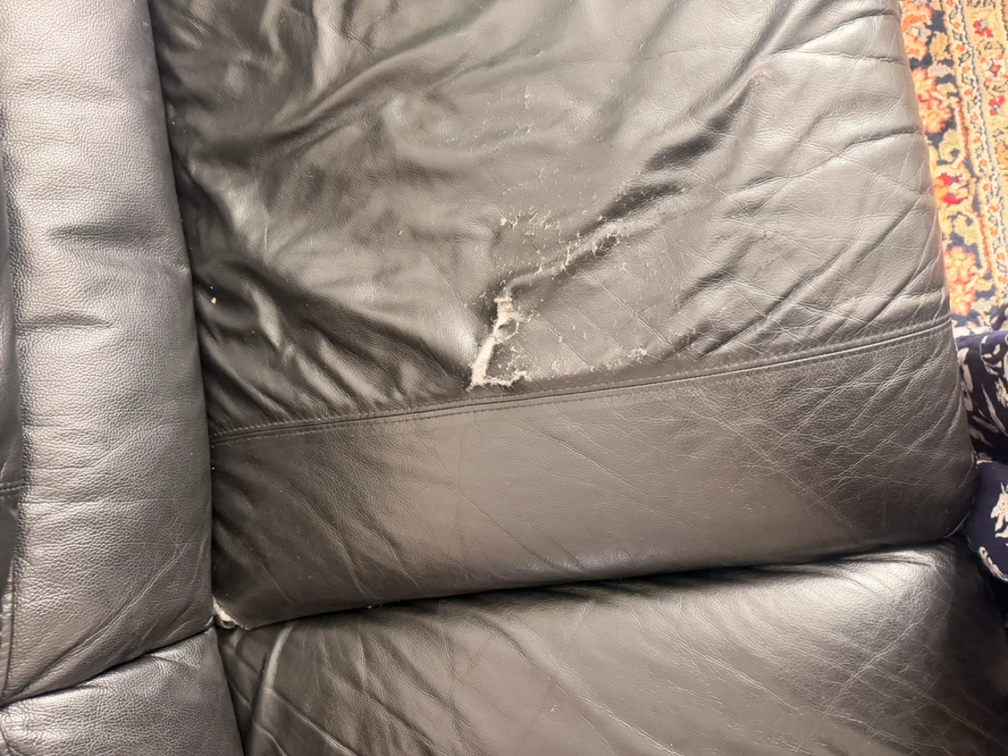 FREE MOVING OUT SALE!!! URGENT! - photo 3