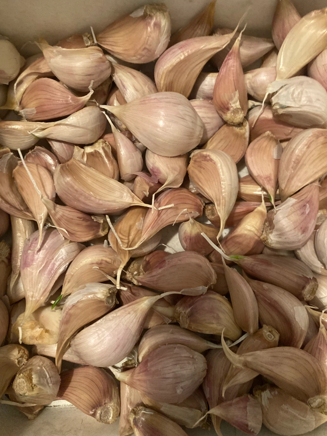 Fresh Garlic Bulbs and Cloves - photo 2