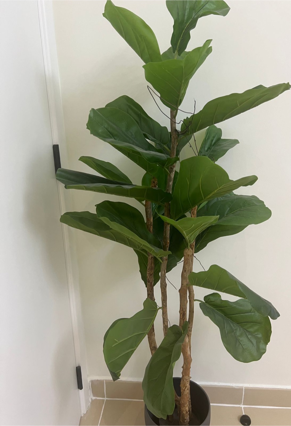 Artificial Fiddle Leaf Fig Plant