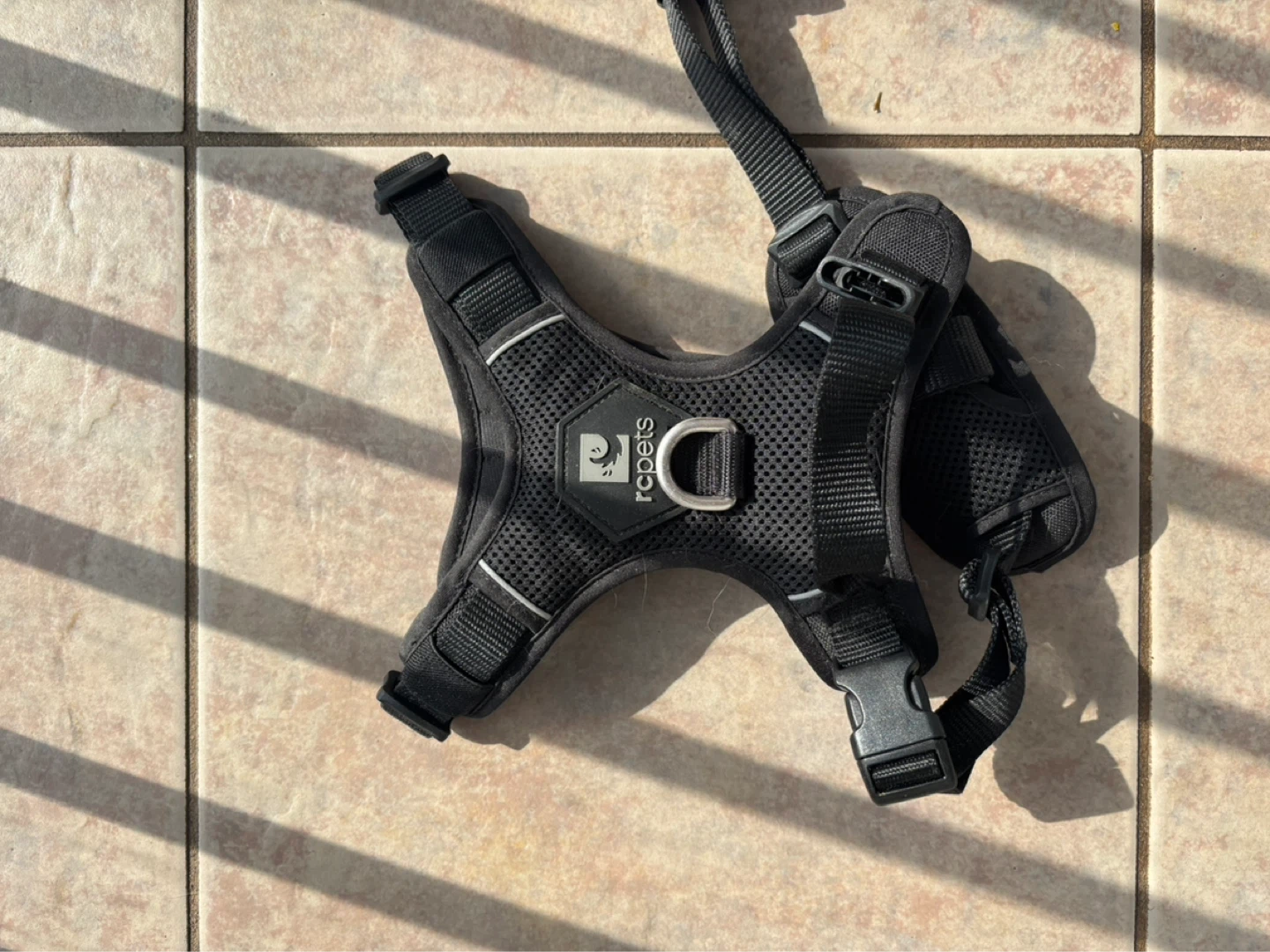 RC Pets Dog Harness