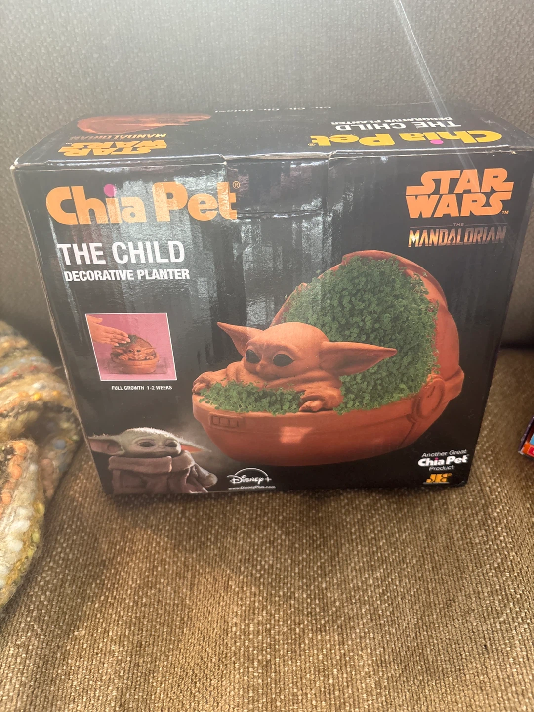 Chia Pet Star Wars The Child Decorative Planter