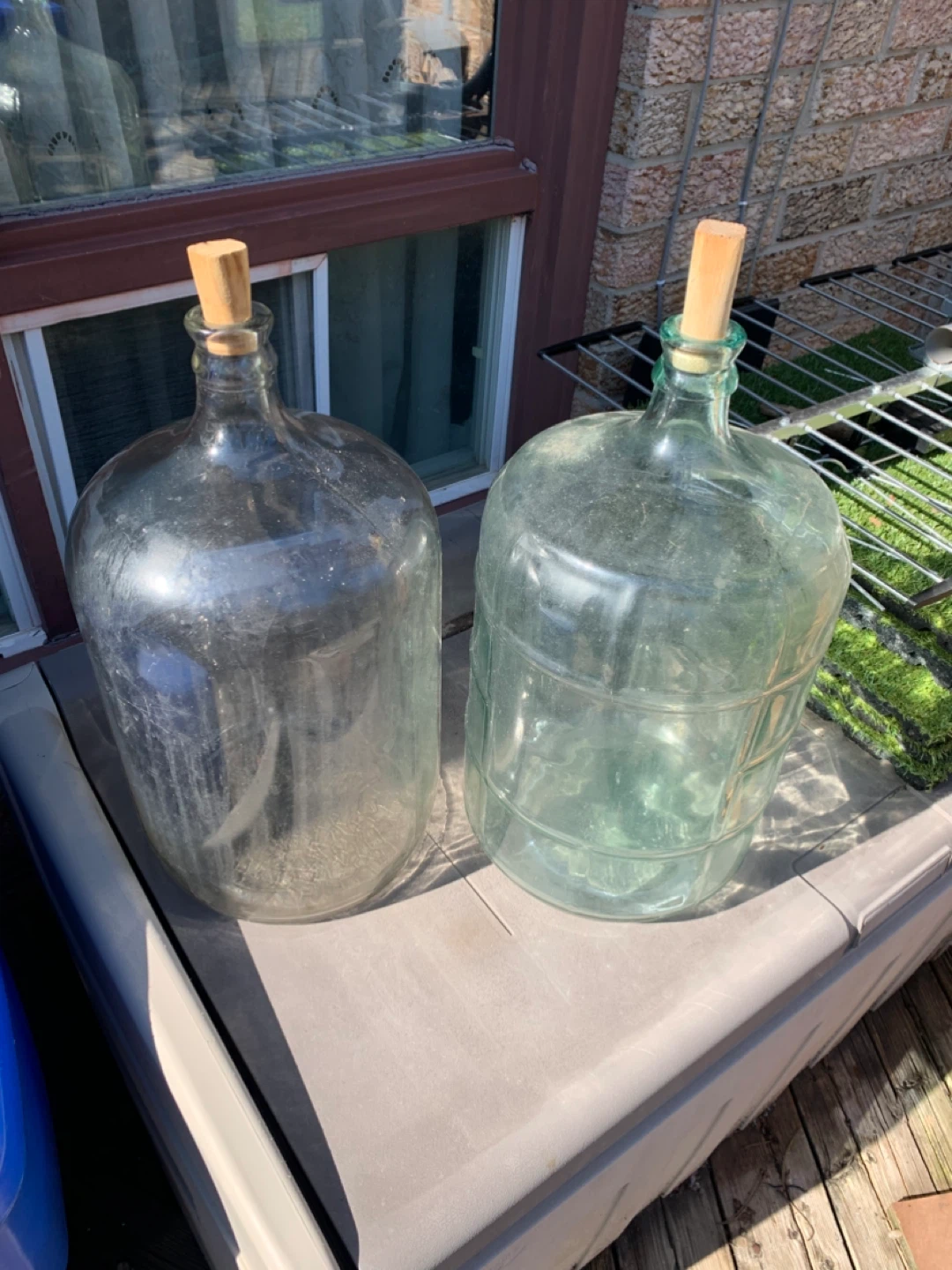 6x 5-Gallon Carboys/ glass jugs for home brewing beer or wine!