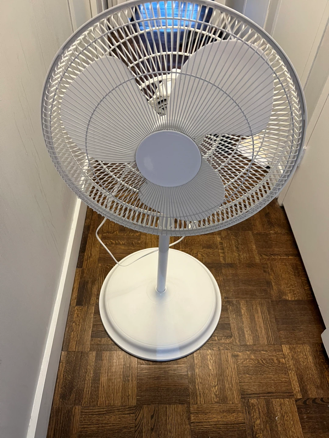 White oscillating stand fan