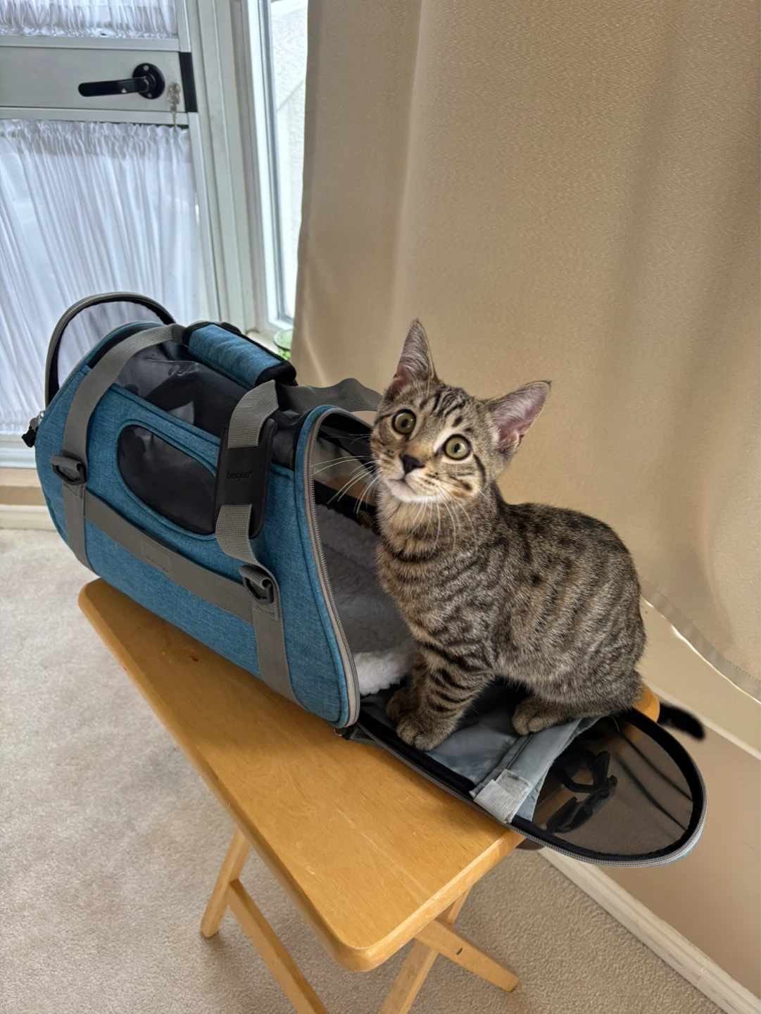 Blue Pet Carrier Bag - photo 5
