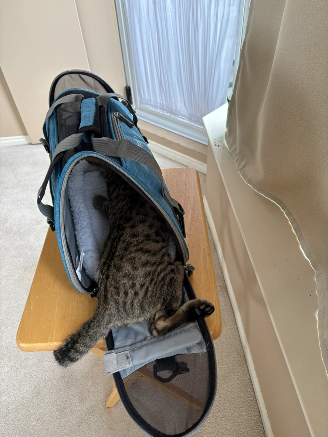 Blue Pet Carrier Bag - photo 4