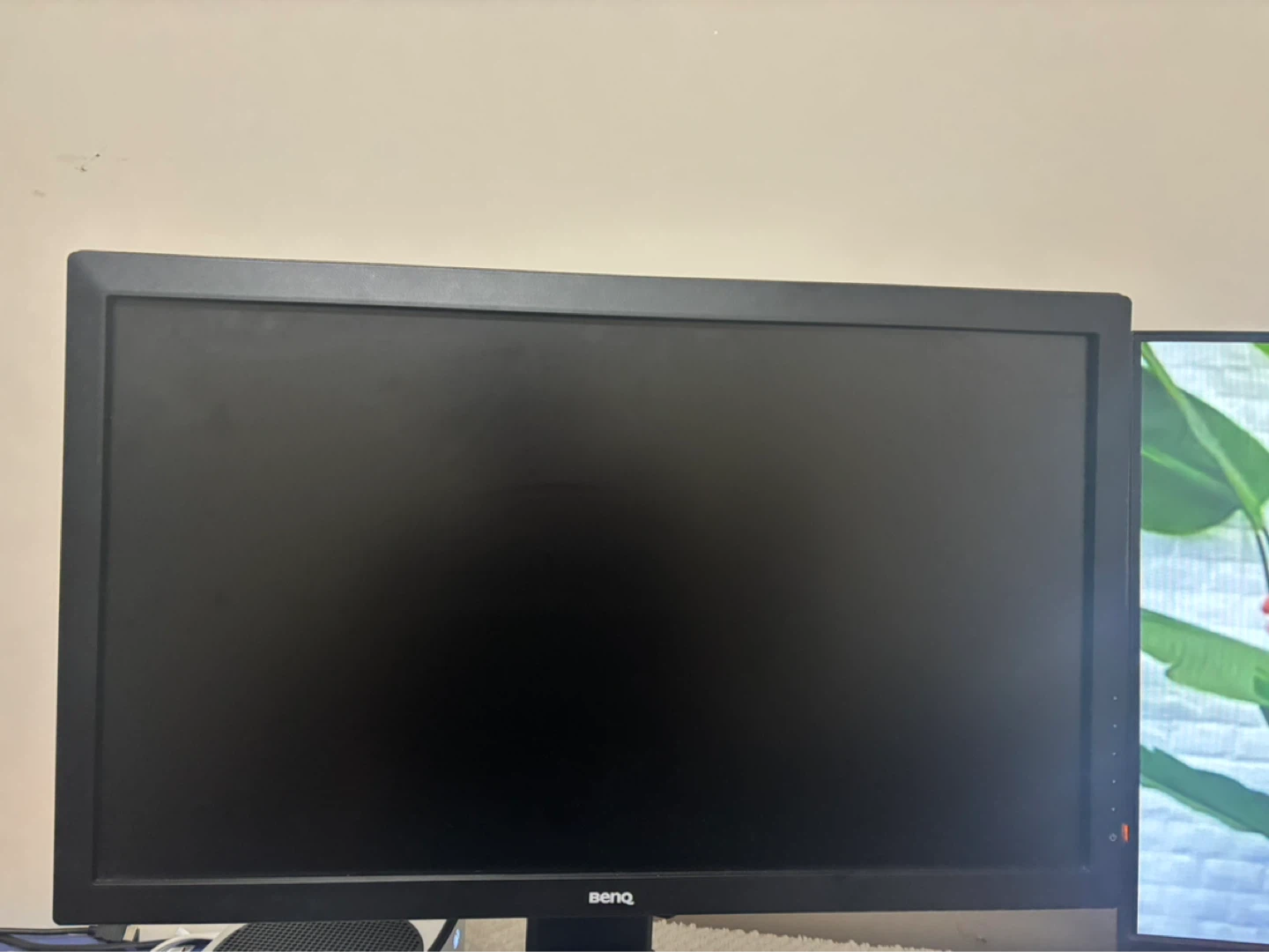 ASUS Monitor