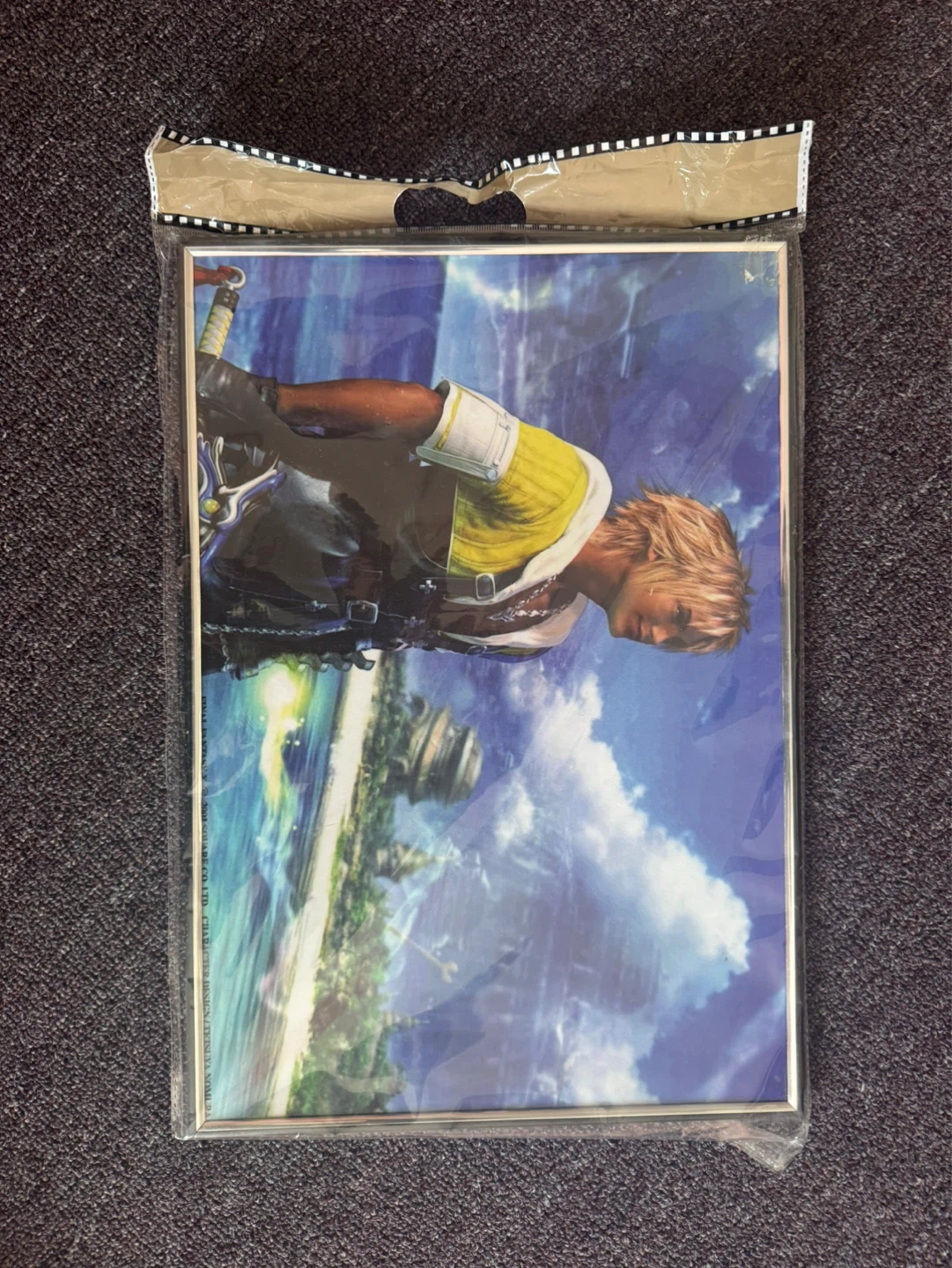 Final Fantasy X Poster Tidus